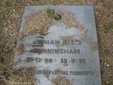 image of grave number 42317